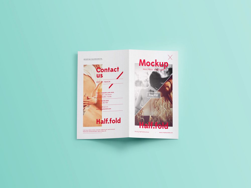 Free Bi-Fold Brochure Mockup