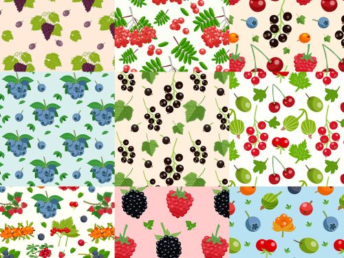 Free Fruit Vector Pattern