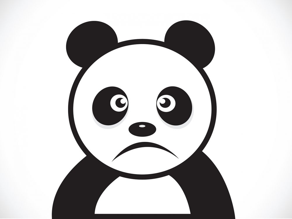 Panda Illustration
