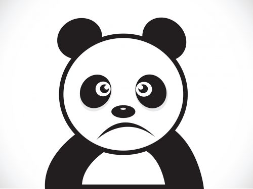 Panda Illustration