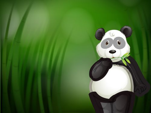 Panda Illustration