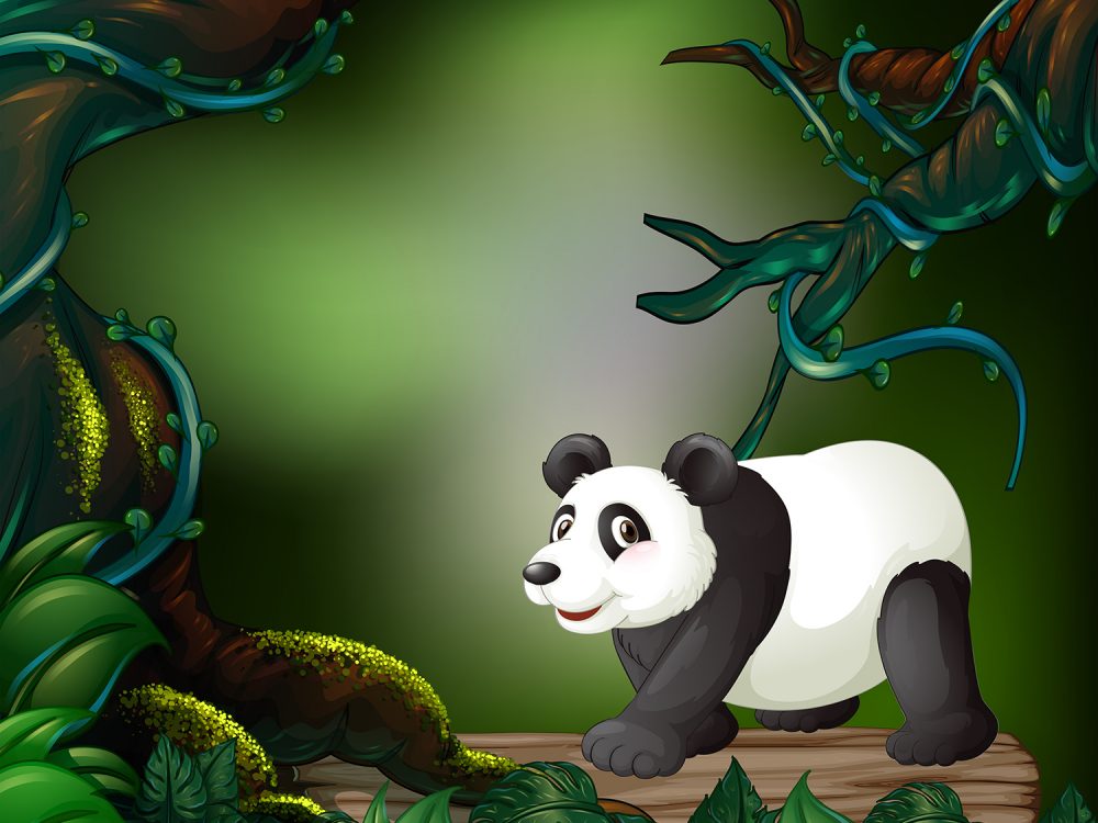 Panda Illustration