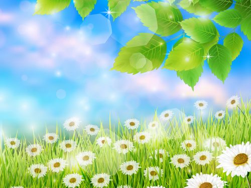 Spring Landscape Nature Illustration