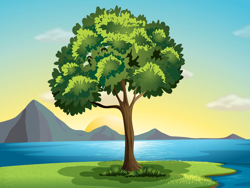 Spring Landscape Nature Illustration