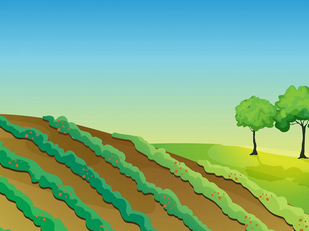 Spring Landscape Nature Illustration