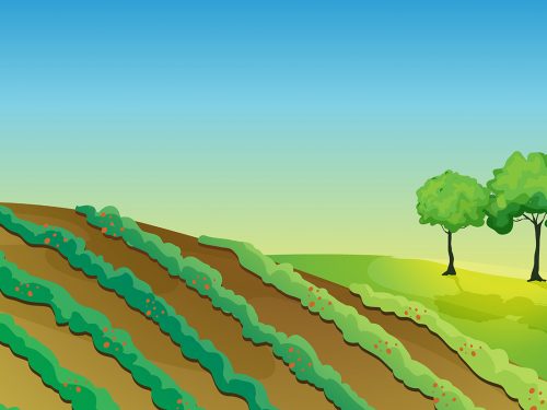 Spring Landscape Nature Illustration