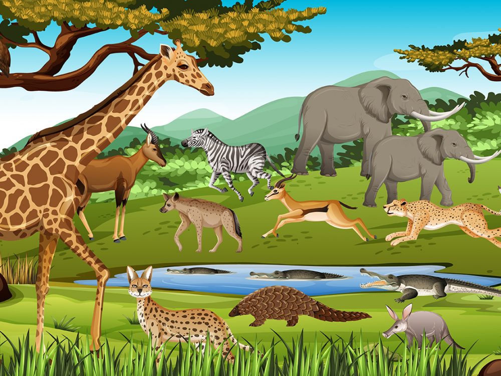Wild Animals Free Vector Illustration
