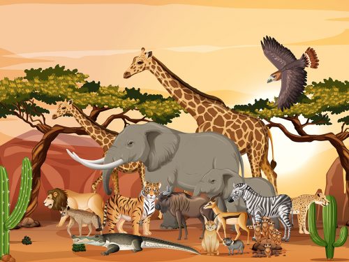 Wild Animals Free Vector Illustration