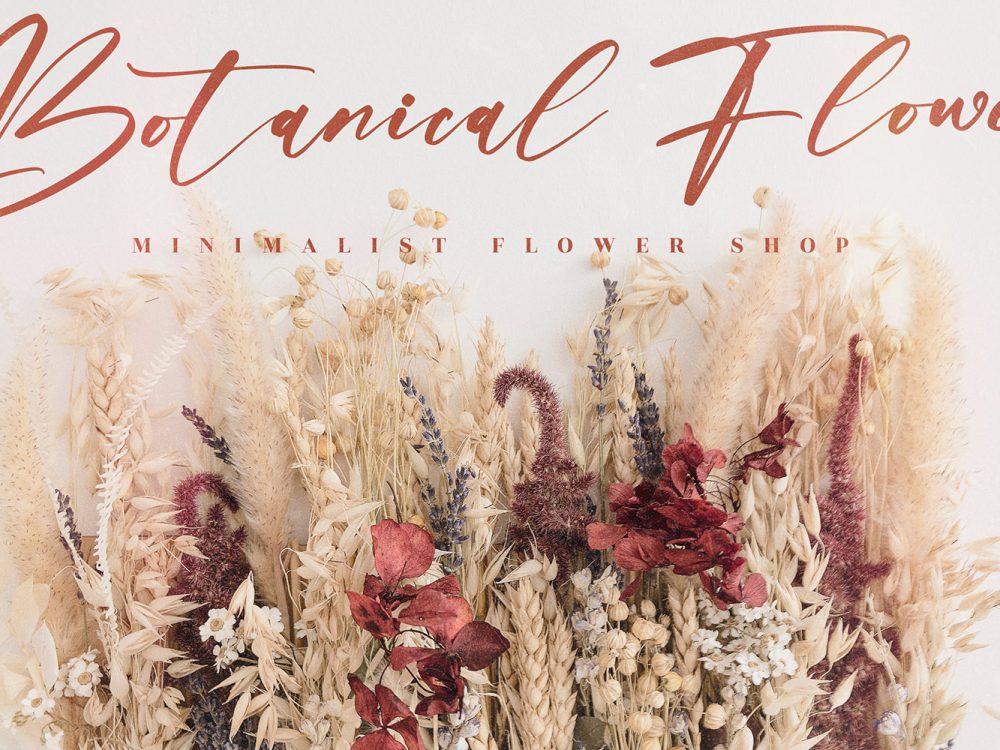 Brittany Allaska Free Font