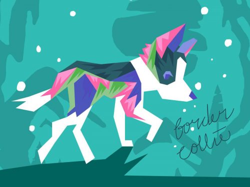 Free Border Collie Vector Illustration