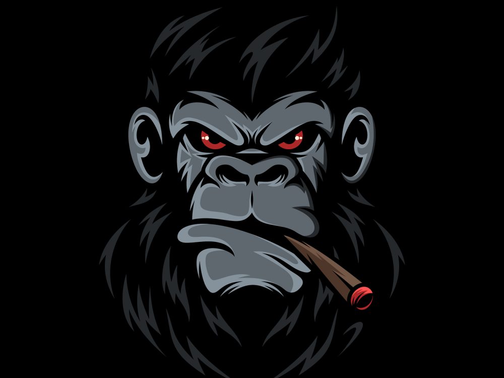 Monkey Head Illustration