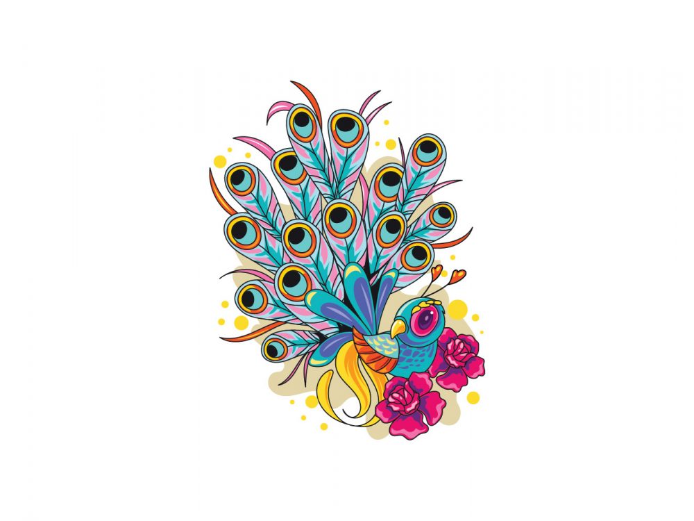 Peacock Free Vector Illustration