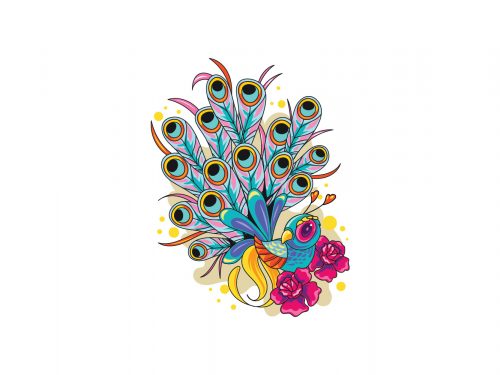 Peacock Free Vector Illustration