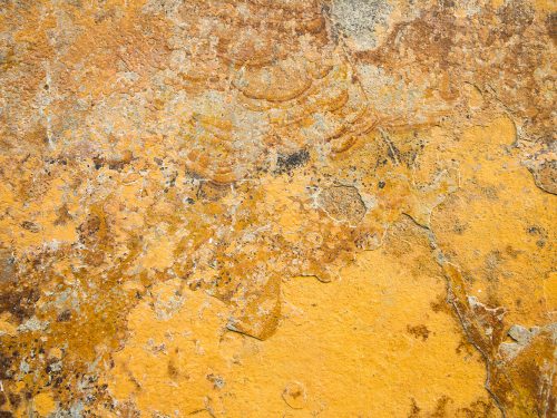 Abstract Metallic Surface Texture