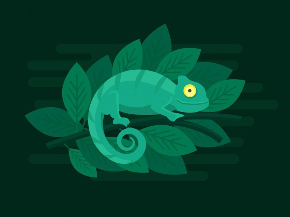 Chameleon Free Vector Illustration