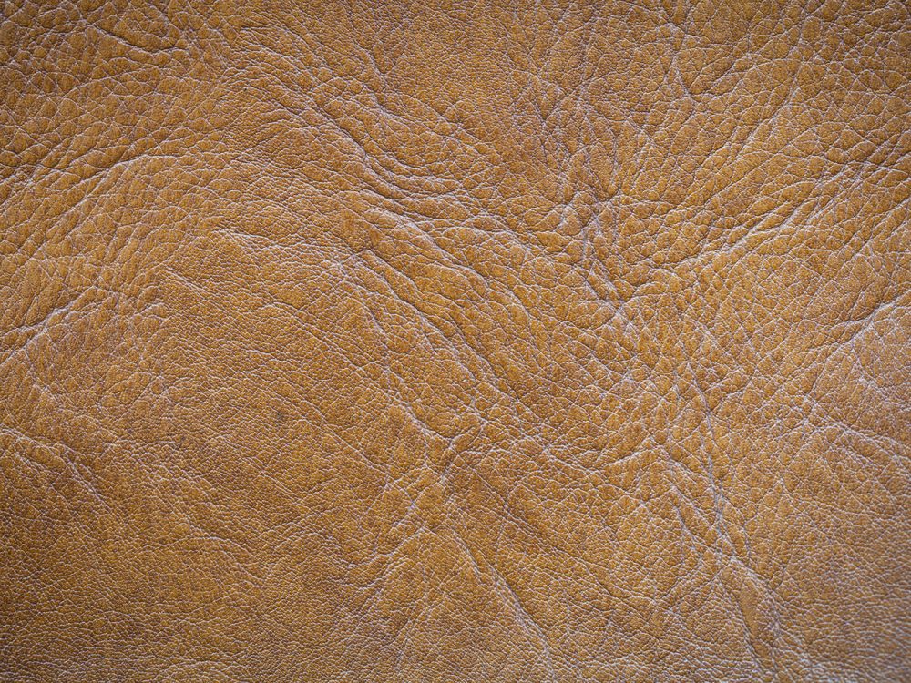 Leather Free Texture