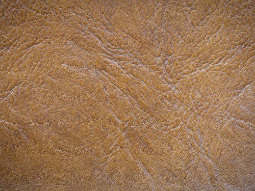 Leather Free Texture