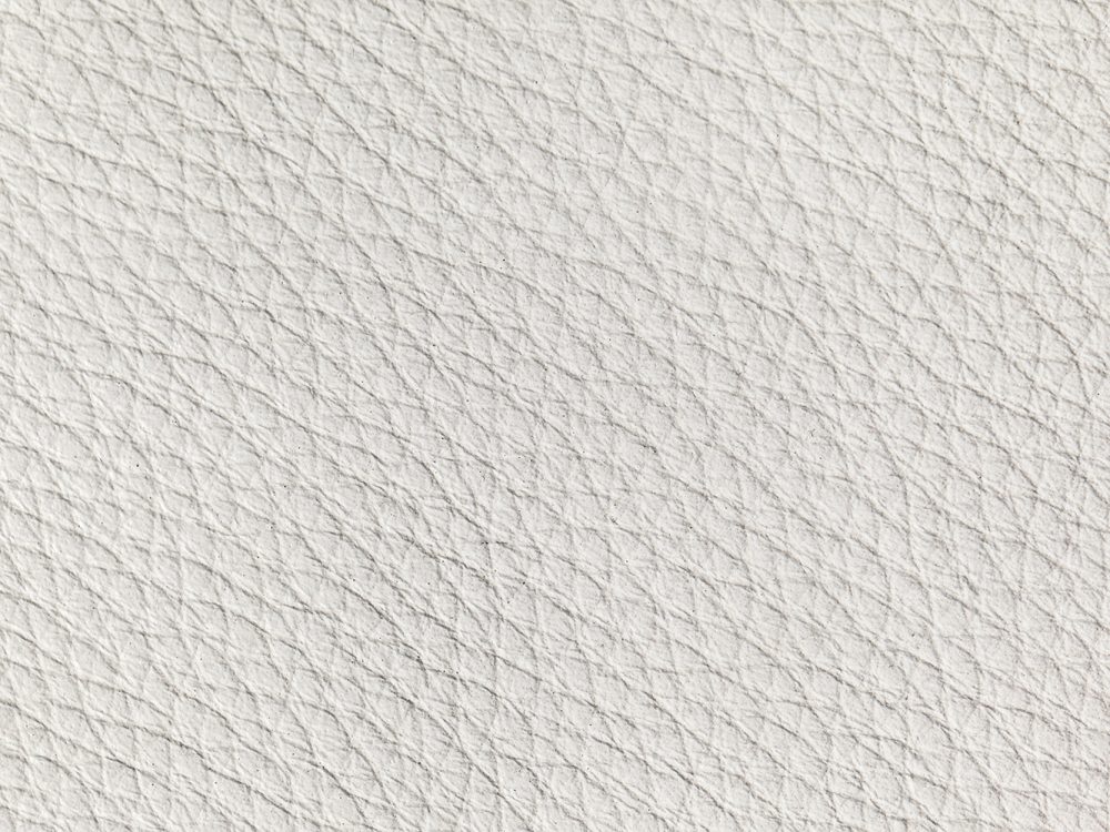 Leather Free Texture