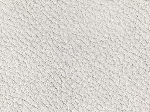 Leather Free Texture