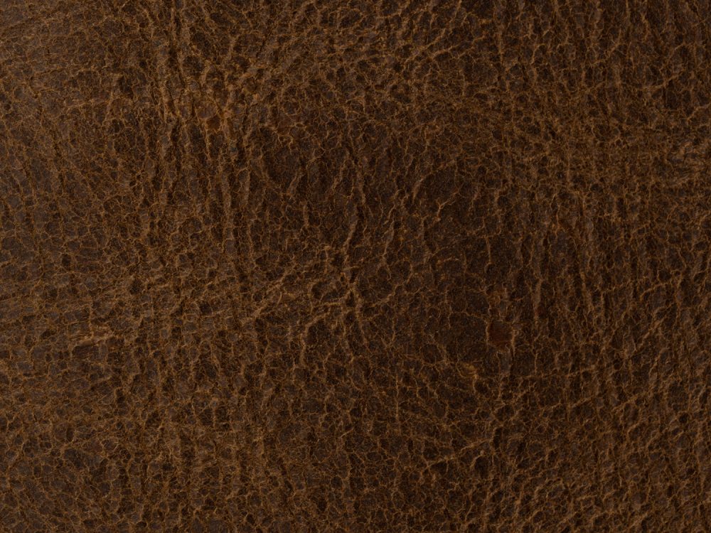Leather Free Texture