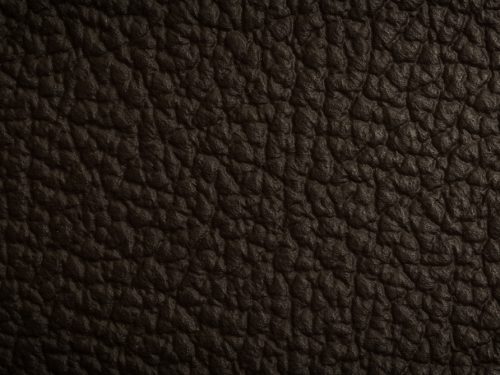 Leather Free Texture