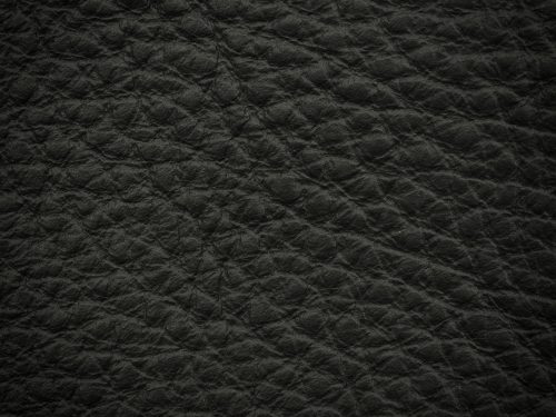 Leather Free Texture