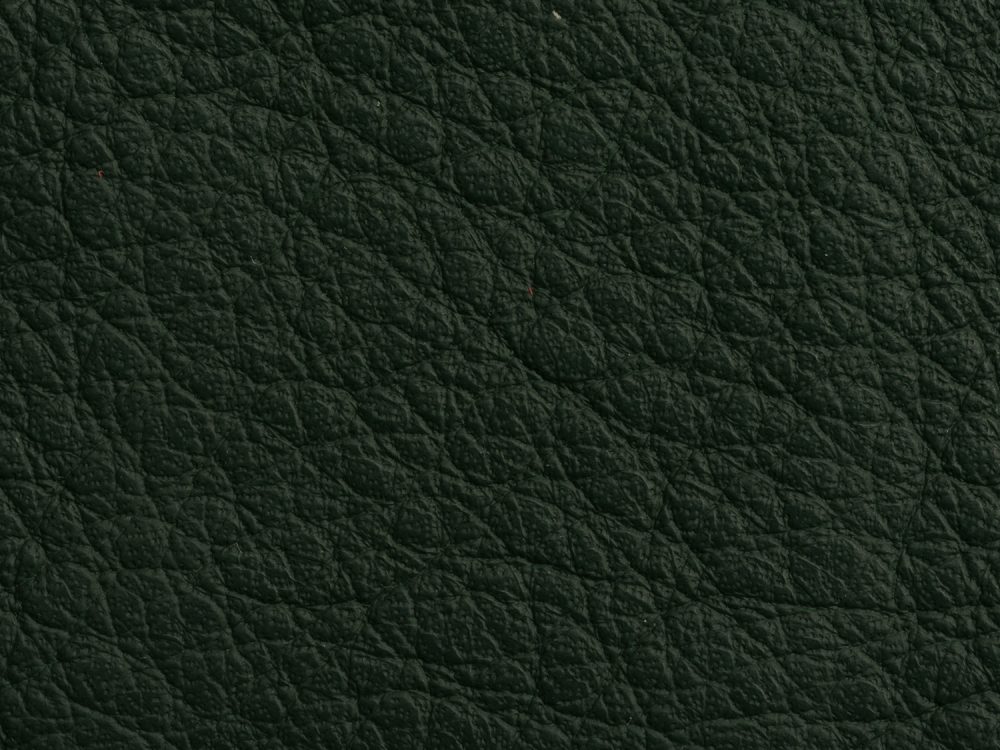 Leather Free Texture