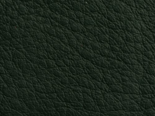 Leather Free Texture