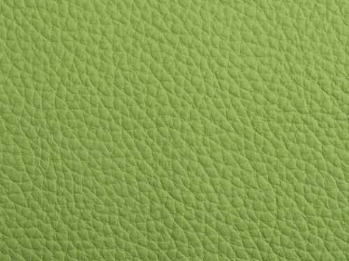 Leather Free Texture