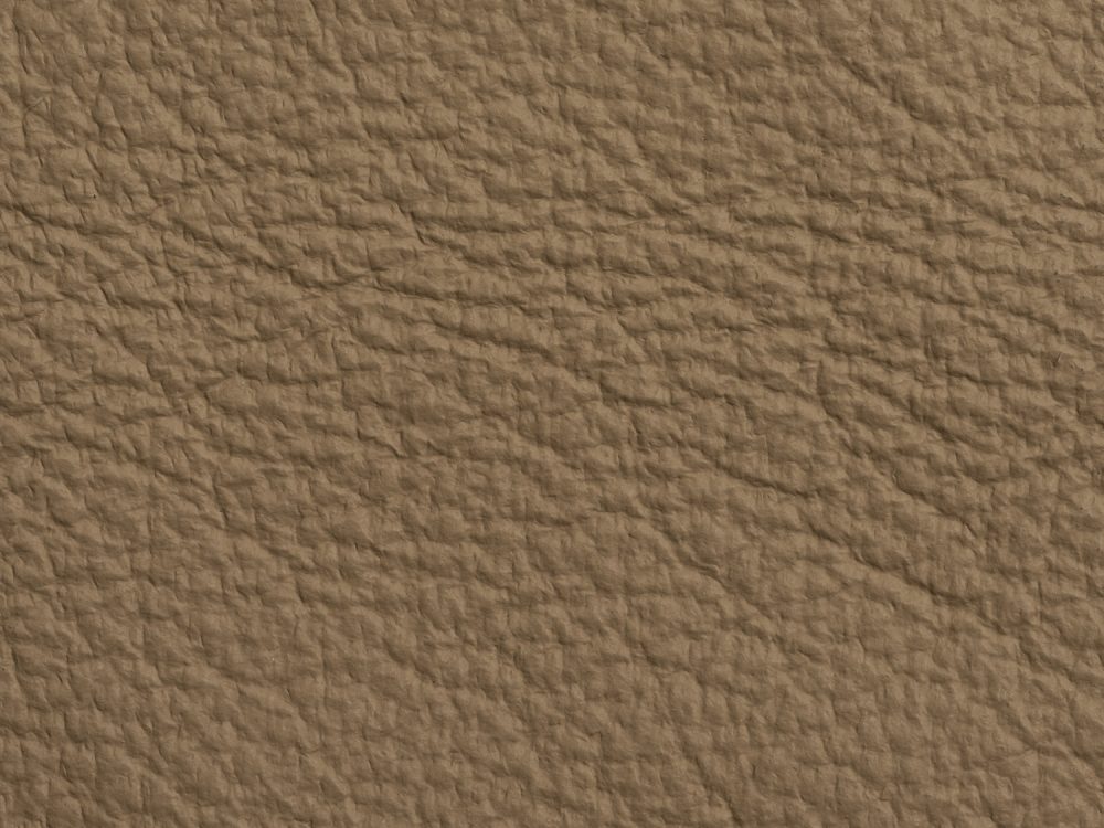 Leather Free Texture