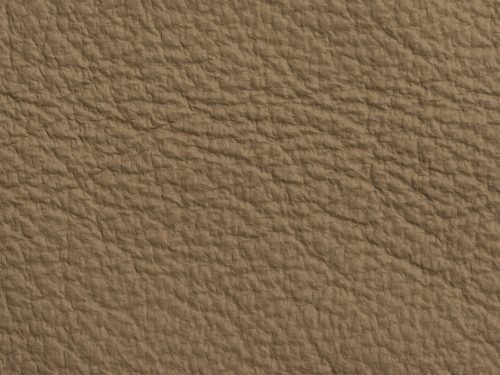 Leather Free Texture