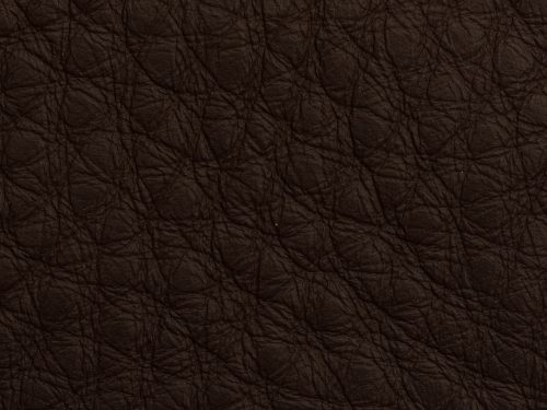 Leather Free Texture