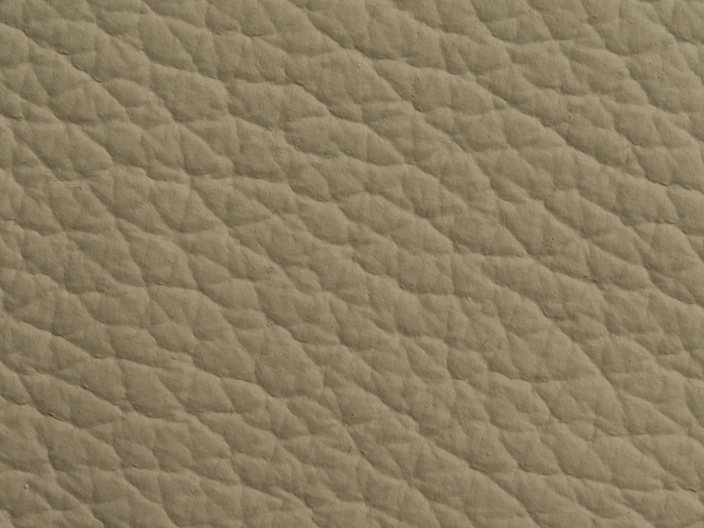 Leather Free Texture