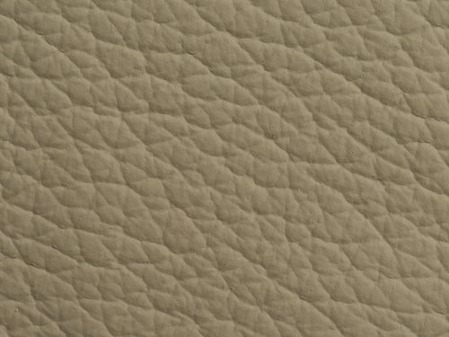 Leather Free Texture