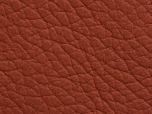 Leather Free Texture