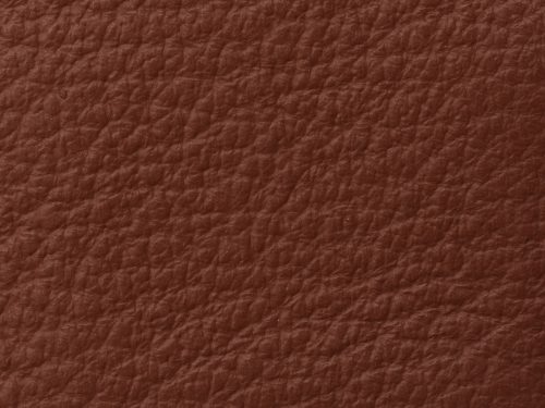 Leather Free Texture