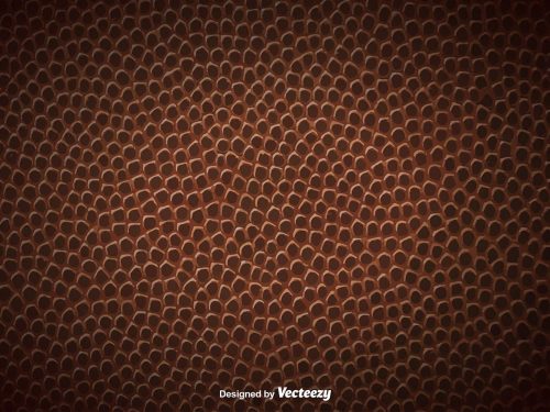 Leather Free Texture