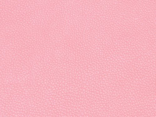 Leather Free Texture