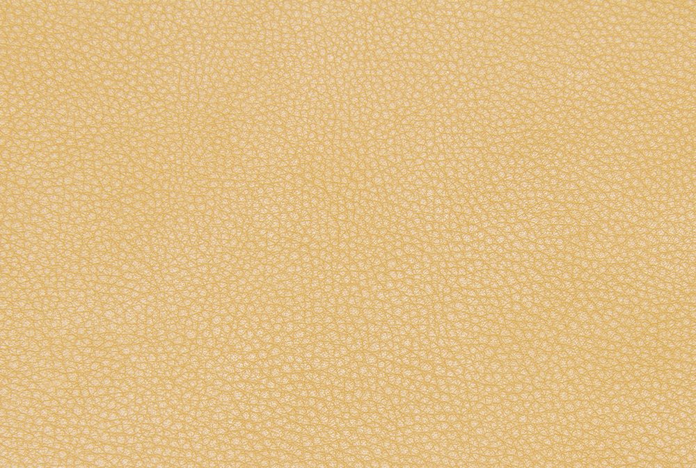 Leather Free Texture