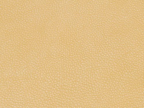 Leather Free Texture
