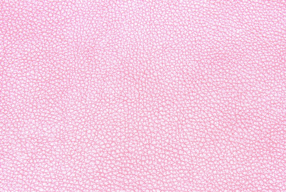 Leather Free Texture