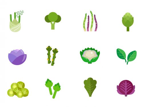 Vegetable Vector Icons