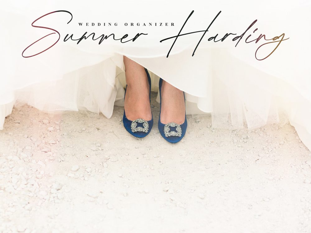 Bellamy Stevenson Free Font