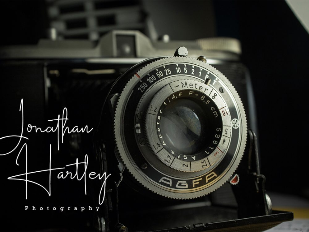 Dalton White Free Font