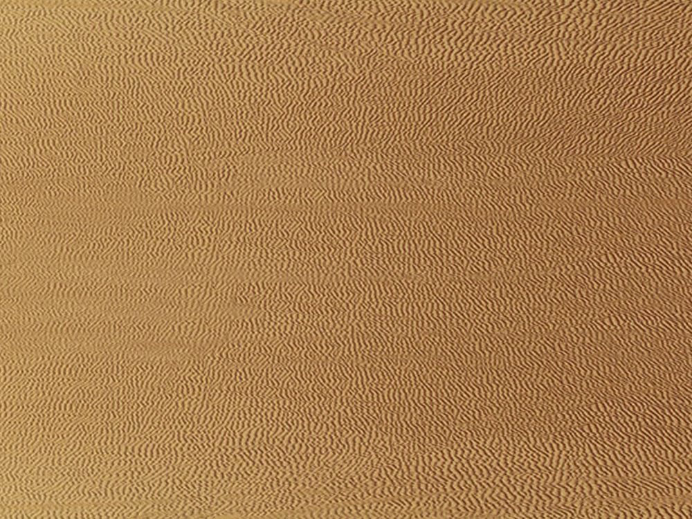 Grainy Leather Free Texture