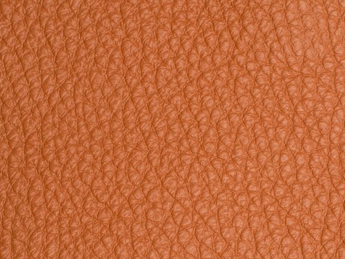 Leather Free Texture