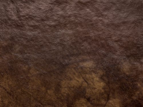 Leather Free Texture