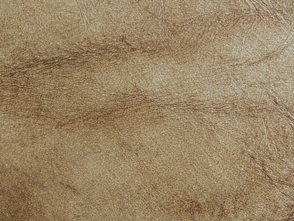 Leather Free Texture
