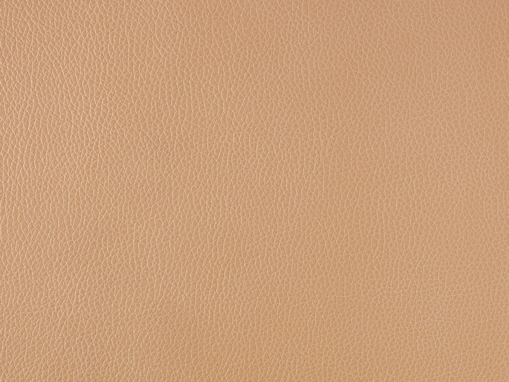Leather Free Texture