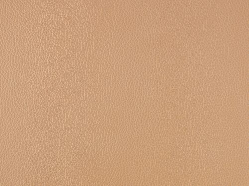 Leather Free Texture